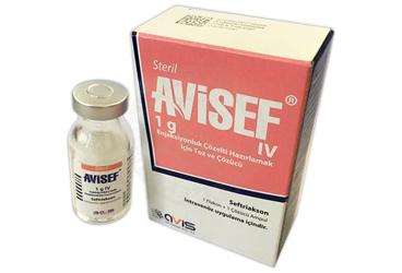 Avisef