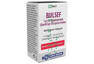 Bulsef